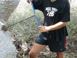 285593_10150265622259901_7974847_n